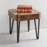 Hamburg Contemporary Contemporary MDFMetal End Table