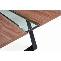 HomeRoots Modern Walnut & Glass Coffee Table