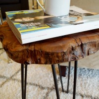 WELLAND Unique Shape Natural Wood Stump Rustic Surface End Table