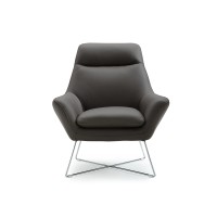 Homeroots Dark Grey Top Grain Italian Leather Stainless Steel Legs Modern Dark Gray Top Grain Italian Leather Accent Chair