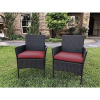 Resin Wicker/Steel Contemporary Arm Chair With Cushions (Set Of 2)