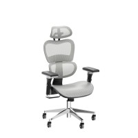 Nouhaus Ergo3D Ergonomic Office Chair Lumbar Support Mesh Office Chair With 4D Adjustable Armrest, Adjustable Headrest And Wheels, Mesh High Back Home Office Desk Chairs (Grey)