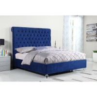 Navy Blue Velvet Uph Panel Bed with Acrylic Feet Cal King