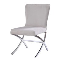 Acme Daire Side Chair Set Of 2 In Pu And Chrome