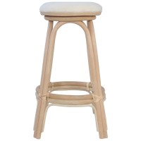 vidaXL 2X Bar Stools Rattan Dining Room Home Seat Stand Chair Multi Colors