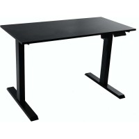 Techorbits Electric Standing Desk Tabletop - 47 Inch Motorized Workstation Two Leg Frame Stand Up Desk With Memory Settings And Telescopic Sit-Stand Height Adjustment Black