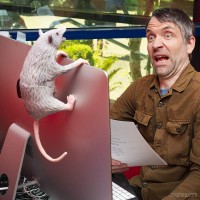 Archie Mcphee Office Possum