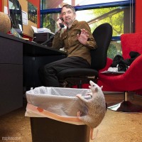 Archie Mcphee Office Possum