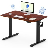 Flexispot En1 Wholepiece Standing Desk 40X24 Electric Adjustable Height Small Desk Heavy Duty Steel Stand Up Desk Eblack Frame