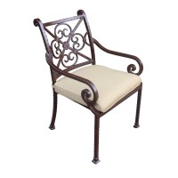 Cast Rose Ebony Aluminum Stacking Arm Chair With Cushion Set Of 2 Dupioni Bamboo(D0102H7Ccc6)