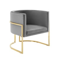 Willow Velvet Accent Chair GrayGold