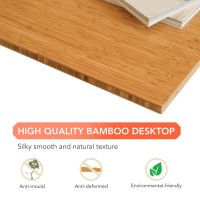 Flexispot Whole Piece Bamboo48 X24 Desktop Height Adjustable Desk Rectangular Tabletop
