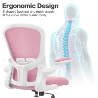 Felixking Office Chair, Ergonomic Desk Chair With Adjustable Height, Swivel Computer Mesh Chair With Lumbar Support And Flip-Up Arms, Backrest With Breathable Mesh (Pink)