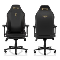 Secretlab Titan Evo Stealth Gaming Chair - Reclining, Ergonomic & Comfortable Computer Chair With 4D Armrests, Magnetic Head Pillow & 4-Way Lumbar Support - Black - Leatherette