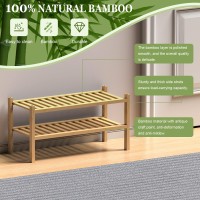 Romguar Craft Thick Bamboo Shoe Rack For Entryway 2Tier Free Standing Shoe Racks Stackable Shoe Rack Organizer For Hallway Cl