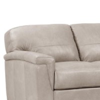 Joy 91 Inch Sofa, T Cushion Back, Beige Genuine Leather, Padded Arms