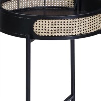 Bert 24 Inch Round End Table, Rattan Apron Accent, Metal Legs, Black