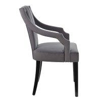 Virtue Performance Velvet Dining Chairs Set of 2