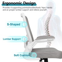 Felixking Ergonomic Office Chair Adjustable Height Breathable Mesh Fabric Lumbar Support Gray