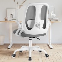 Razzor Office Chair, Ergonomic Computer Desk Chair With 2D Lumbar Support And Flip-Up Arms, Swivel Breathable Mesh Task Chair With Adjustable Height For Home Office