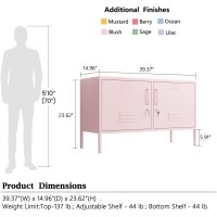 Aiasuit Tv Stand Multifunctional Metal Storage Cabinet 2-Tier Shelf Thick Plate Material Support Sturdy Metal Sideboard Adjustable Storage Cabinet Pink Size: 23.62?? X 39.37?? X 14.96??