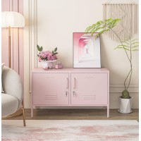 Aiasuit Tv Stand Multifunctional Metal Storage Cabinet 2-Tier Shelf Thick Plate Material Support Sturdy Metal Sideboard Adjustable Storage Cabinet Pink Size: 23.62?? X 39.37?? X 14.96??