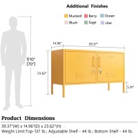 Aiasuit Metal Storage Cabinet Adjustable Shelf Storage Cabinet Laundry Room Or Utility Room Storage Cabinet 2 Tiers Large Space For Books Clothes Yellow Size: 23.62?? X 39.37?? X 14.96??