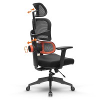 Newtral Ergonomic Office Chair, Computer Desk Chair, Reclining High Back Mesh Chair, Adjustable Lumbar Support Headrest, 3D Armrest Lumbar Support Backrest For Office Home Gaming, Black
