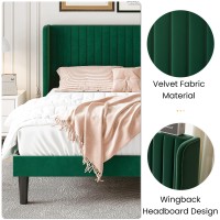 Sha Cerlin Queen Size Velvet Bed Frame With Vertical Channel Tufted Wingback Headboard Upholstered Platform Bed With Wood Slats