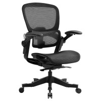 Hinomi H1 Classic V3 Ergonomic Office Chair With Adjustable Lumbar Support, Breathable Mesh, 146 Recline - Comfortable Work From Home Desk Chair, Flip-Up Armrests, Bifma Certified (H1Clsv3)