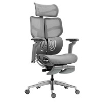 Hinomi X1 High Back Ergonomic Office Chair With Built-In Leg Rest, 6D Armrest, 4 Panel Backrest Suitable As Home Office Chair And Computer Chair (Gray, Standard)