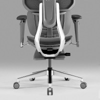 Hinomi X1 High Back Ergonomic Office Chair With Built-In Leg Rest, 6D Armrest, 4 Panel Backrest Suitable As Home Office Chair And Computer Chair (Gray, Standard)