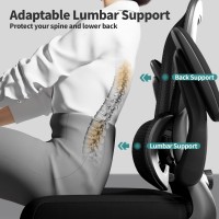 Tralt Office Chair Ergonomic Desk Chair With Adjustable Lumbar Support Mesh Computer Chair Executive Chair For Home Office C