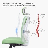 Sihoo M18 Ergonomic Office Chair Computer Desk Chair With Adjustable Headrest And Lumbar Support High Back Executive Swivel Ch