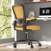 Office Chair Ergonomic Desk Chair With Adjustable Lumbar Support High Back Mesh Computer Chair With Flipup Armrestsbifma Pas