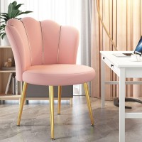 Velvet Dining Chair With Petal Backrest Vanity Reception Chair With Metal Legs Padded Leisure Chair For Dining Room Living Room Bedroom Height Adjustable,Light Pink (Color : Grey)