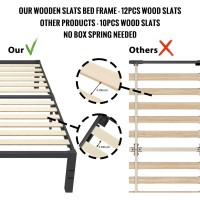 Roil 18 Inch Queen Size Bed Frame With Wood Slats 3500Lbs Heavy Duty No Box Spring Needed Platform Mattress Stoppers Double M