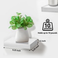 Sorbus Square Floating Shelf For Wall 4 Small Shelves With Invisible Mounting Brackets For Living Room Decor Bedroom Bathroo