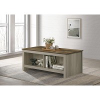 Nyla 43 Inch W Gray Oak Coffee Table With Open Shelves Front And Back