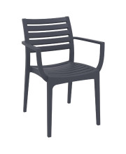 Artemis Outdoor Dining Arm Chair Dark Gray (Pack of 2)