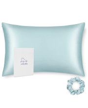 ALASKA BEAR Silk Pillowcase Hypoallergenic for Acne Prone Skin Best 100 Percent Mulberry Silk Real cooling Pillow case Queen Size with Zipper (1pc, Eggshell Blue)