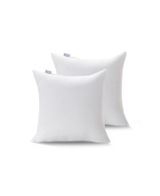 Acanva Decorative Throw Pillow Inserts for Sofa, Bed, couch and chair, Square Euro Sham Form Stuffer with Premium Polyester Microfiber, 2 count (Pack of 1), White