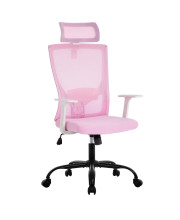 Ergonomic Office chair Swivel Home Office Desk chair with Head Pillow Breathable Mesh Backrest Adjustable Seat Height Firm Arm Rests Mesh chair for Working and Resting (Pink)