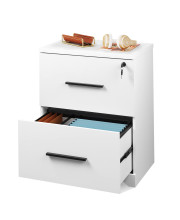 DEVAISE 2-Drawer Wood Lateral File Cabinet with Lock for Office Home, White