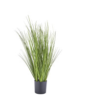 Artificial Forever Plants - Grasses