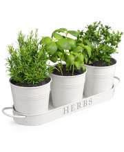 Barnyard Designs Indoor Herb Garden Planter Set with Tray, Metal Windowsill Plant Pots with Drainage for Outdoor or Indoor Plants, White, Set/3